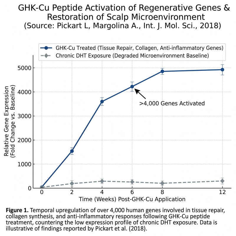 GHK-Cu Gene Activation & Scalp Repair